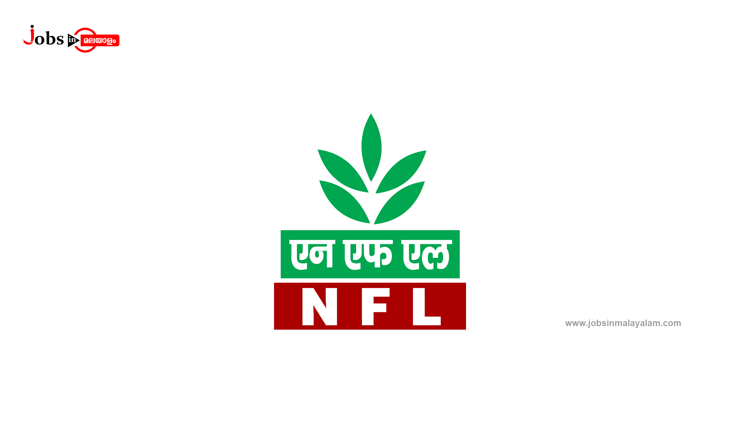 NATIONAL FERTILIZERS LIMITED (NFL)