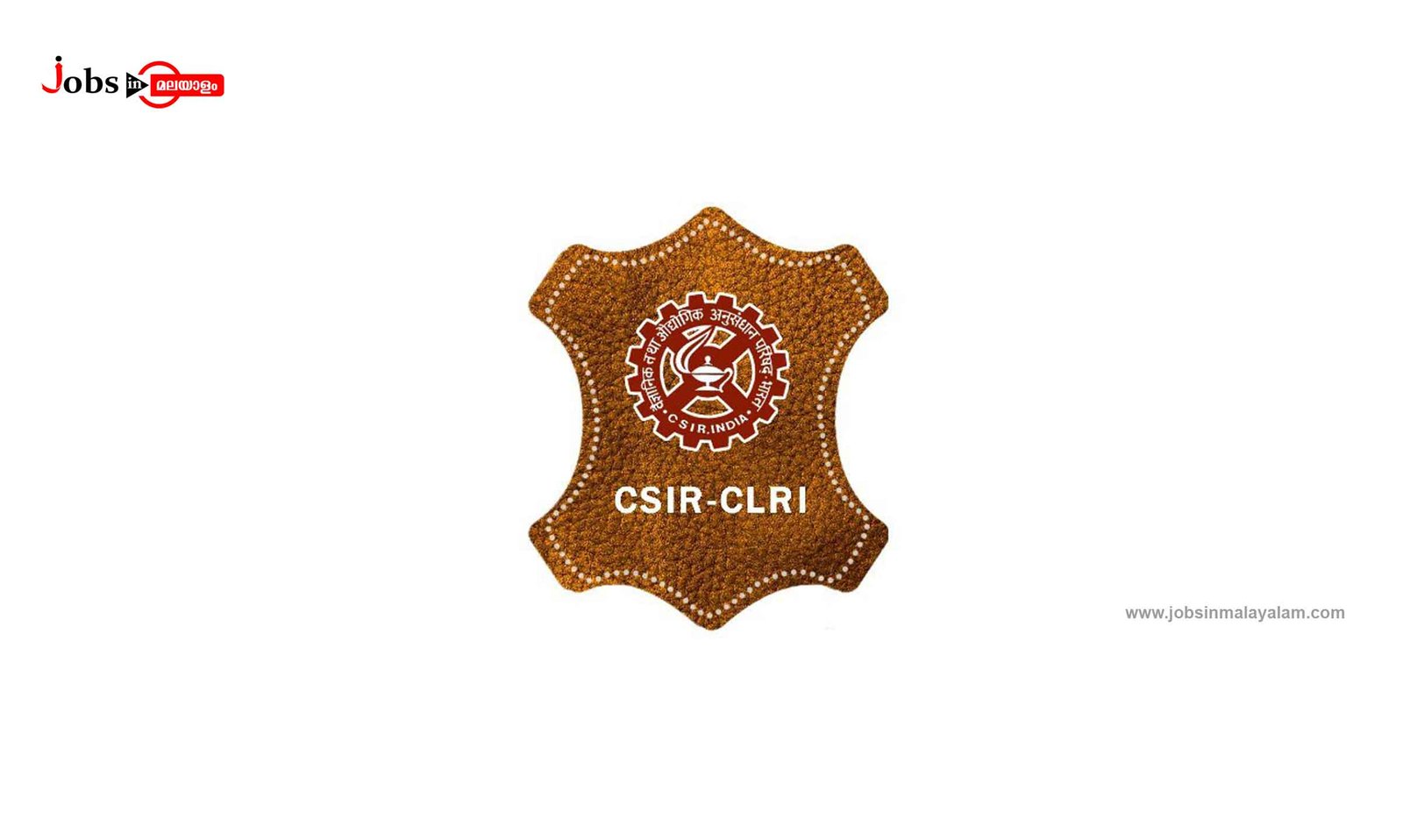 CSIR-Central Leather Research Institute (CLRI)