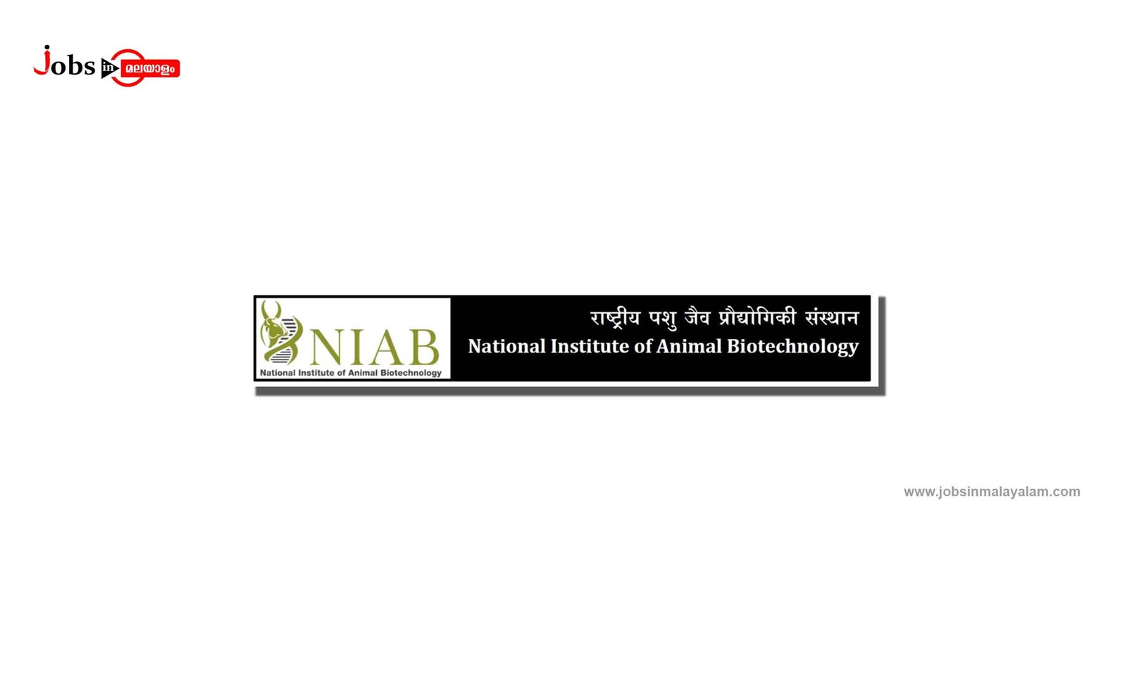 National Institute of Animal Biotechnology (NIAB)
